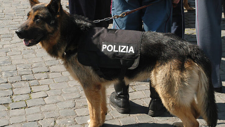 Concorso 7 Medici Veterinari Polizia di Stato 2020